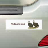Guinee: Chocolade Bumpersticker (Op auto)