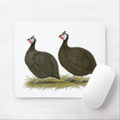 Guinee: Chocolade Muismat (Met muis)