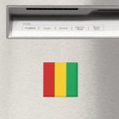 Guinee-Conakry Flag Magnet (Insitu (Vaatwasser))
