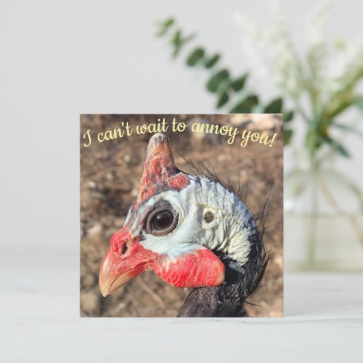 Guinee Fowl (Staand voorkant)