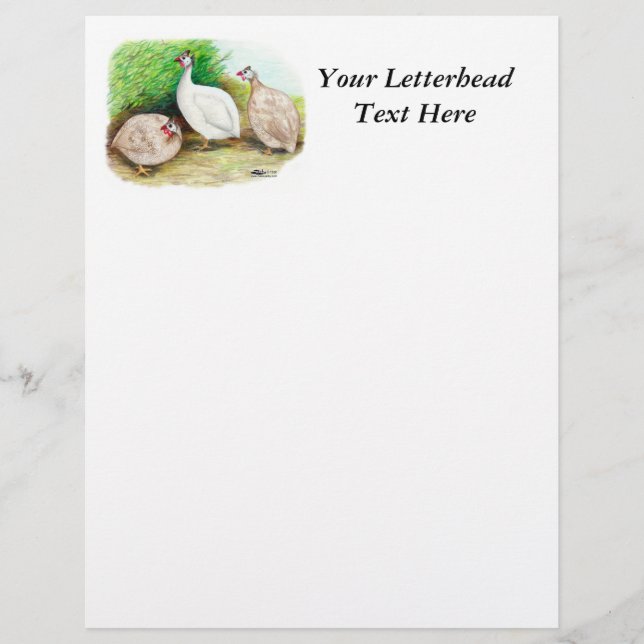 Guinee Fowl buiten (Voorkant)