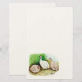 Guinee Fowl buiten Briefpapier (Voorkant / Achterkant)