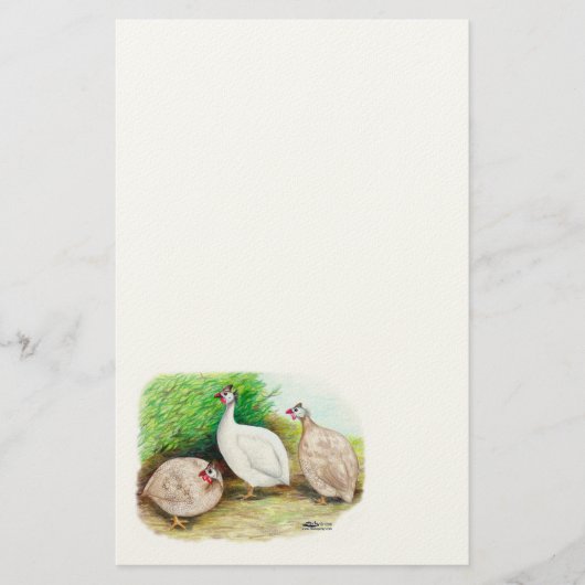 Guinee Fowl buiten Briefpapier (Voorkant)