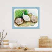 Guinee Fowl buiten Poster (Keuken)