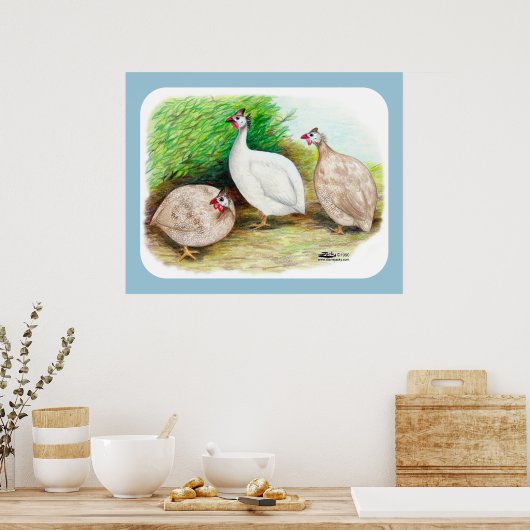 Guinee Fowl buiten Poster (Keuken)
