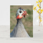 Guinee Fowl Kaart (Gele Bloem)