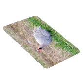 Guinee Fowl Magneet (Rechterzijde)