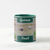 Guinee Fowl Mok (Midden)