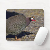 Guinee Fowl Muismat (Met muis)