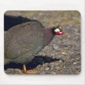 Guinee Fowl Muismat (Voorkant)