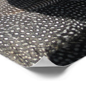 Guinee Fowl Poster (Hoek)