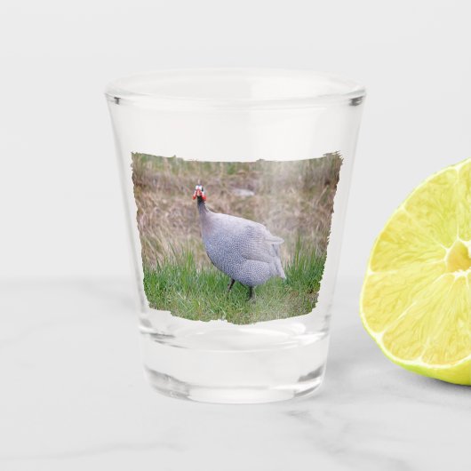 Guinee Fowl Shot Glas (Voorkant)