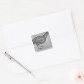 Guinee Fowl uit het Album van de Vallardi Vierkante Sticker (Envelop)