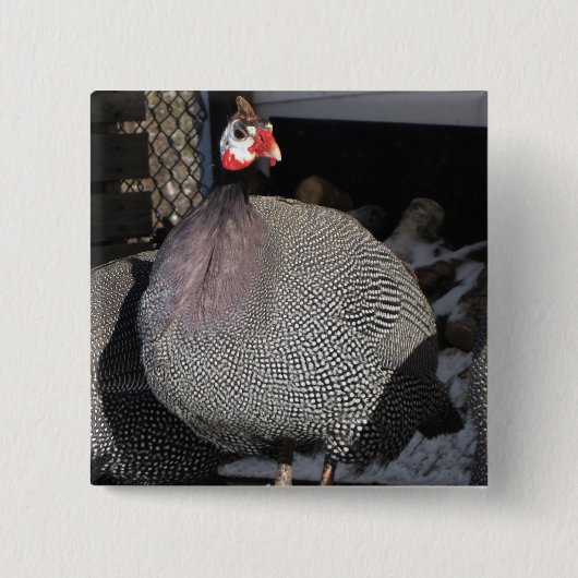 Guinee Fowl Vierkante Button 5,1 Cm (Voorkant)