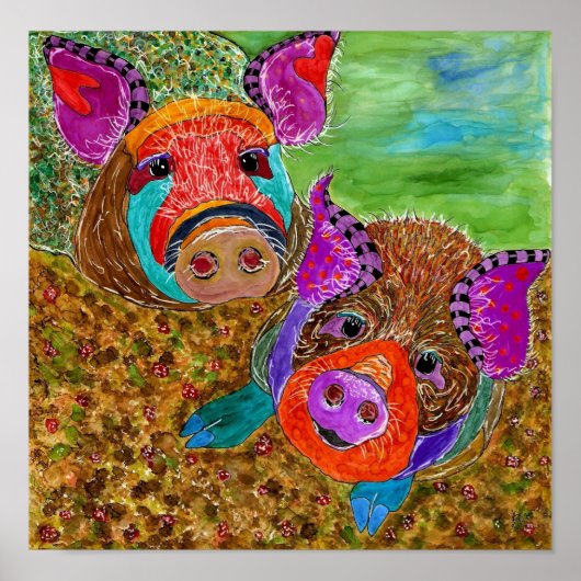 Guinee Hog Poster 12 x 12 inch (Voorkant)