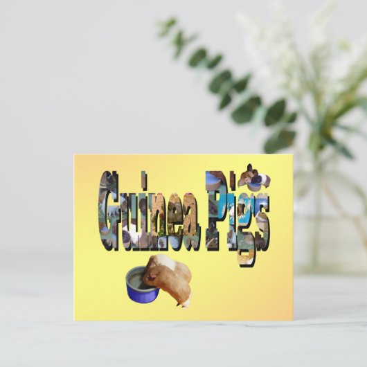 Guinee is het woord, Briefkaart (Staand voorkant)