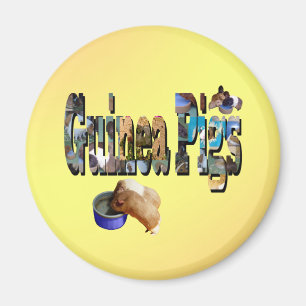 Guinee is het woord, Magnet