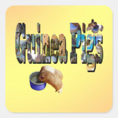 Guinee is het woord, Stickers (Voorkant)