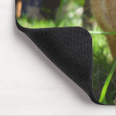 Guinee-muispad Muismat (Hoek)