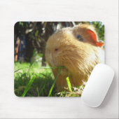 Guinee-muispad Muismat (Met muis)