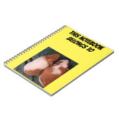 Guinee-Notitieboek Notitieboek (Linkerzijde)