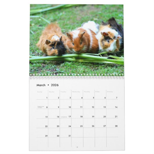 Guinee Pig 2025 Kalender (Mar 2026)