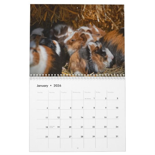 Guinee Pig 2025 Kalender (Jan 2026)
