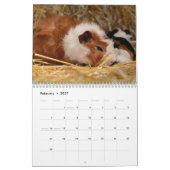 Guinee Pig 2025 Kalender (Feb 2027)