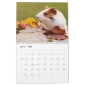Guinee Pig 2025 Kalender (Mar 2026)