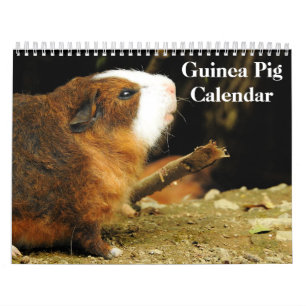 Guinee Pig 2025 Kalender