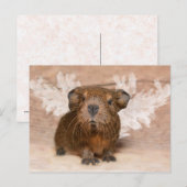 Guinee Pig Angel Briefkaart (Voorkant / Achterkant)