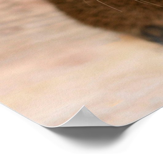 Guinee Pig Angel Poster (Hoek)