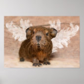 Guinee Pig Angel Poster (Voorkant)