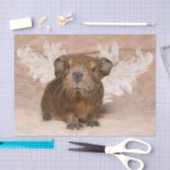 Guinee Pig Angel Tissuepapier (Craft)