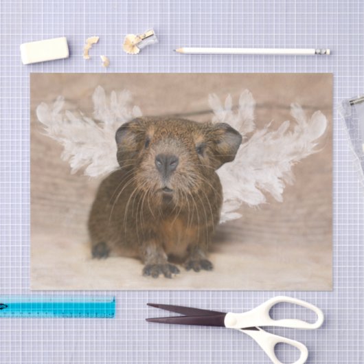 Guinee Pig Angel Tissuepapier (Craft)