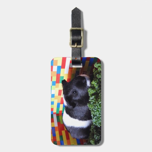 Guinee Pig Bagagelabel (Voorkant verticaal)