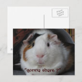 Guinee Pig Briefkaart (Voorkant / Achterkant)
