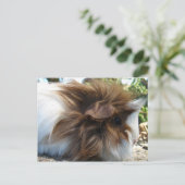Guinee Pig Briefkaart (Staand voorkant)