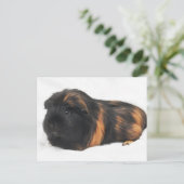 Guinee Pig Briefkaart (Staand voorkant)