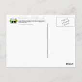 Guinee Pig Briefkaart (Achterkant)