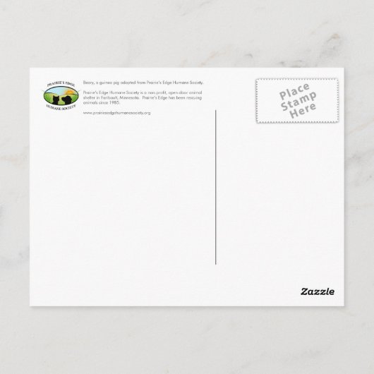 Guinee Pig Briefkaart (Achterkant)