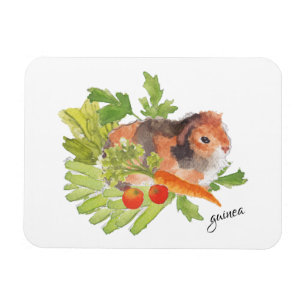 Guinee Pig Carrot Salad Waterverf Magnet Magneet