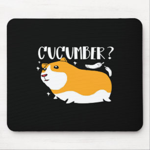 Guinee Pig Cucumber   Cute Guinea Pig   Kool Pet Muismat