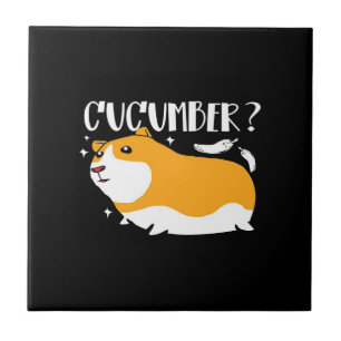 Guinee Pig Cucumber   Cute Guinea Pig   Kool Pet Tegeltje