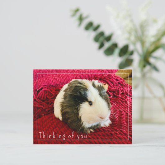 Guinee Pig Denken aan je Briefkaart Bewerkbaar (Staand voorkant)