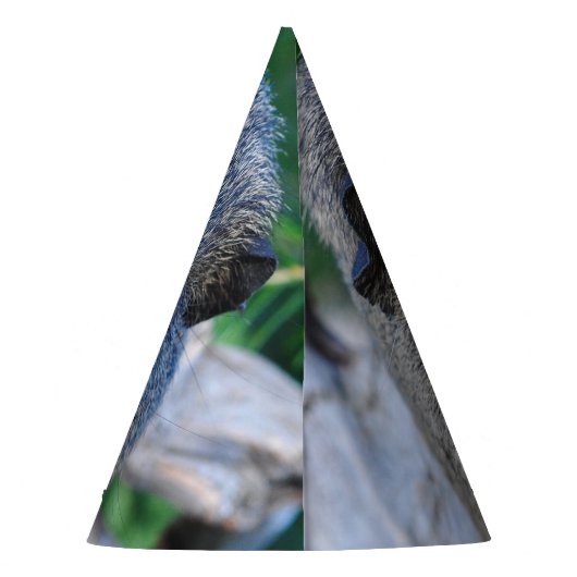 Guinee Pig Feesthoedjes (Achterkant)