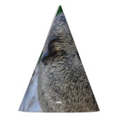 Guinee Pig Feesthoedjes (Links)