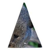 Guinee Pig Feesthoedjes (Rechts)