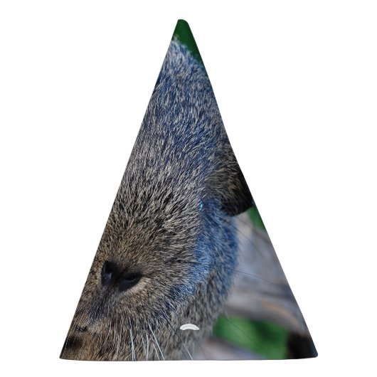 Guinee Pig Feesthoedjes (Rechts)