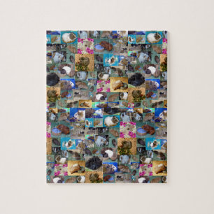 Guinee Pig Fotocollage, puzzel